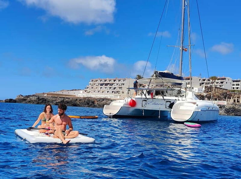 Tenerife: PRIVATE Catamaran cruise with Lunch and Drinks - Key Things to Know Before You Go