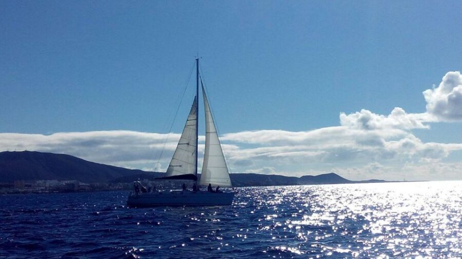 Tenerife: Private or Group 3 Hour Sailing Cruise with Drinks - What You’ll Actually Love About This 3-Hour Tenerife Sail