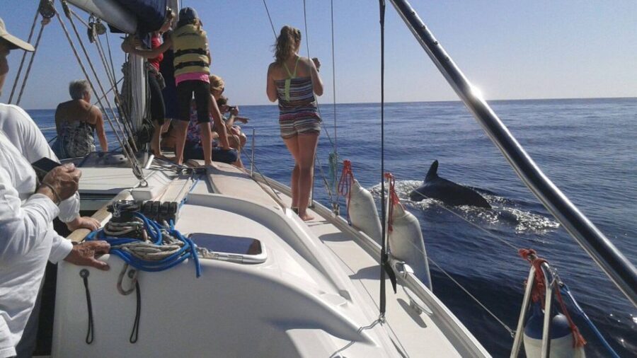 Tenerife: Private or Group 3 Hour Sailing Cruise with Drinks - The Swim Stop and Cava Break: How the relaxed downtime adds up