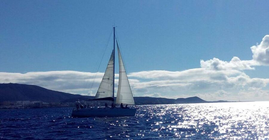 Tenerife: Private or Group 3 Hour Sailing Cruise with Drinks - Drinks and Onboard Time: What you’re paying for beyond the scenery