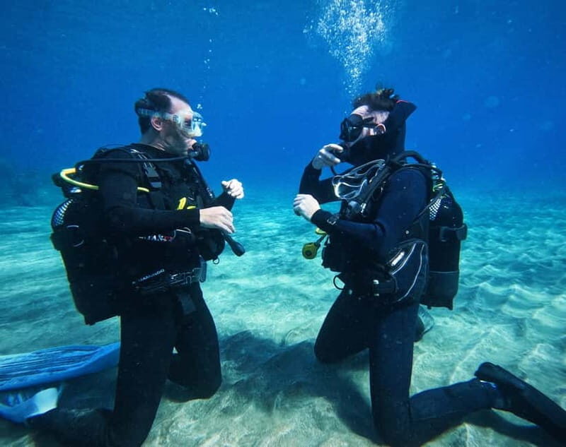 Tenerife: Private Scuba Diving–Certified Instructor & Photos - Arriving at the water site: photos, marine life, and a real briefing