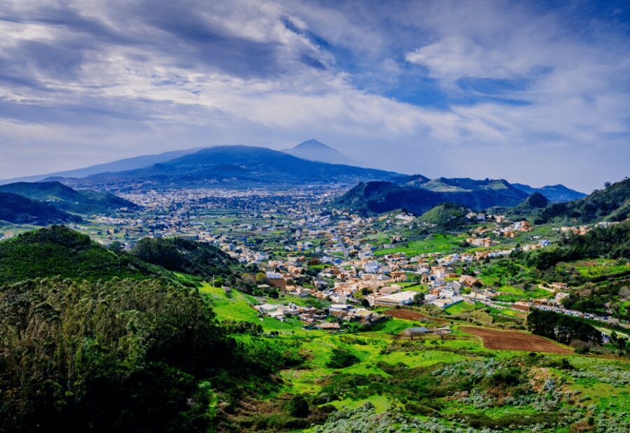 Tenerife: Private Taganana and Anaga Day Trip with Pickup - Who This Tour Suits Best (And Who Should Think Twice)