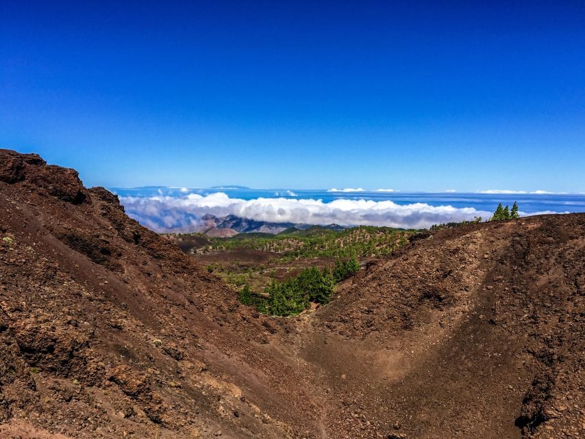 Tenerife Private Tour: Full-Day Volcanic South - Key Things I’d Focus On Before You Go