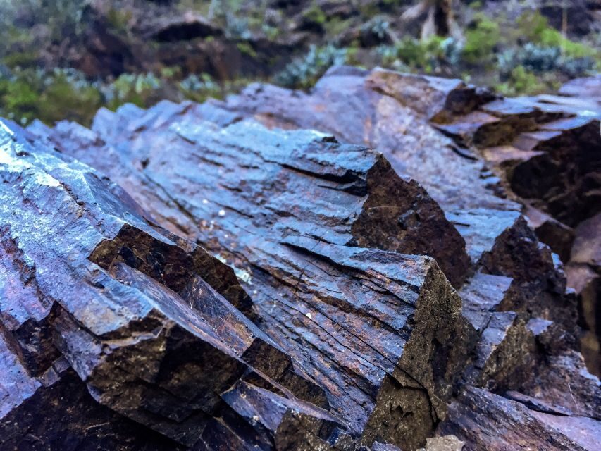 Tenerife Private Tour: Full-Day Volcanic South - Lunch Time and the Teide National Park Finale