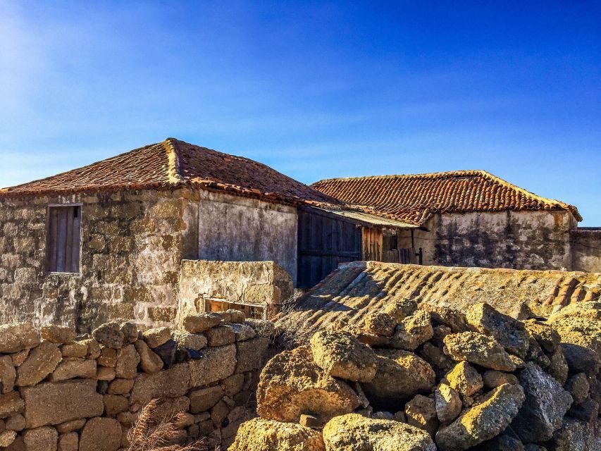 Tenerife Private Tour: Full-Day Volcanic South - A Lesser-Known Stop for Lava Textures You’ll Remember