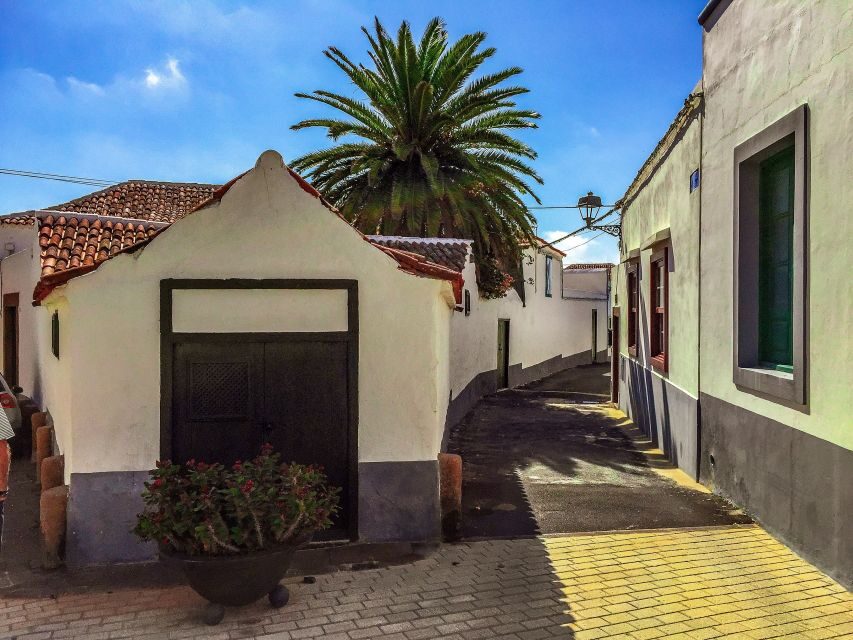 Tenerife Private Tour: Full-Day Volcanic South - Arona Panoramas and Endemic Flora: The Island’s Survival Story