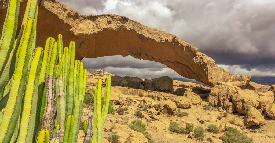 Tenerife Private Tour: Full-Day Volcanic South - Your Electric Van and Private Guide Setup (and How It Changes the Day)