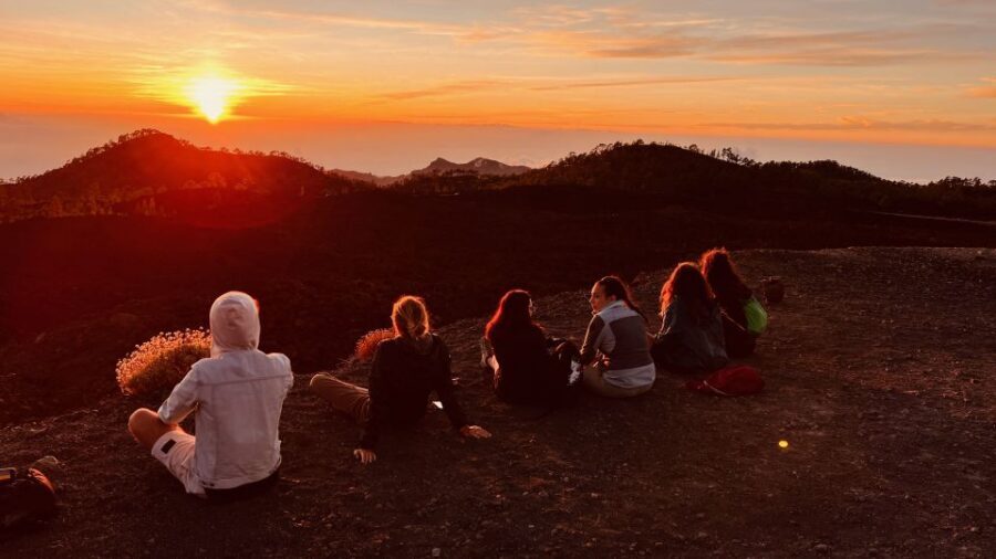 Tenerife: Private VIP Tour Teide National Park - Key things you’ll remember from this VIP Teide day