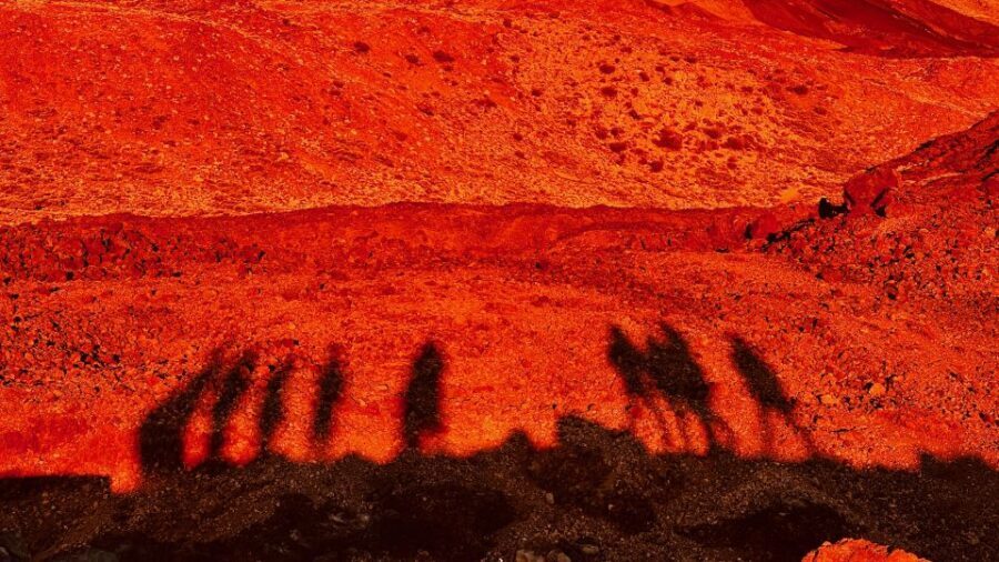 Tenerife: Private VIP Tour Teide National Park - Price and value: $383 per group up to 6, and when it’s a bargain