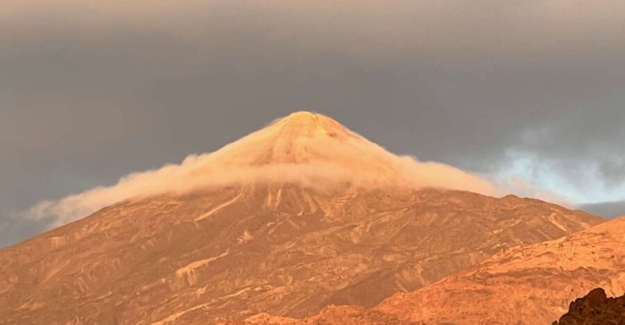 Tenerife: Private VIP Tour Teide National Park - From the south side up to Vilaflor de Chasna: how vegetation changes with altitude
