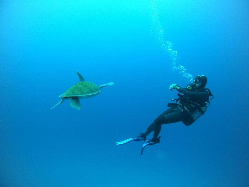 Tenerife: Puerto Colon Certified Scuba Dive by Speed Boat - Choosing the underwater experience: anchored vs drift-style plans