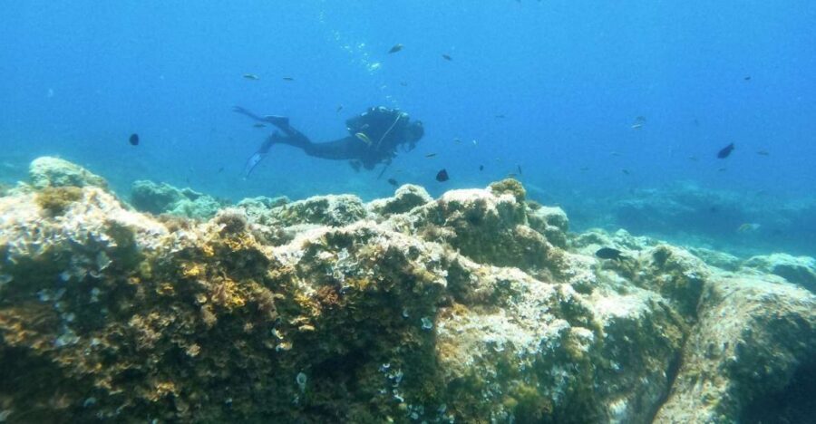 Tenerife: Puerto Colon Certified Scuba Dive by Speed Boat - What to bring (and the stuff people forget)