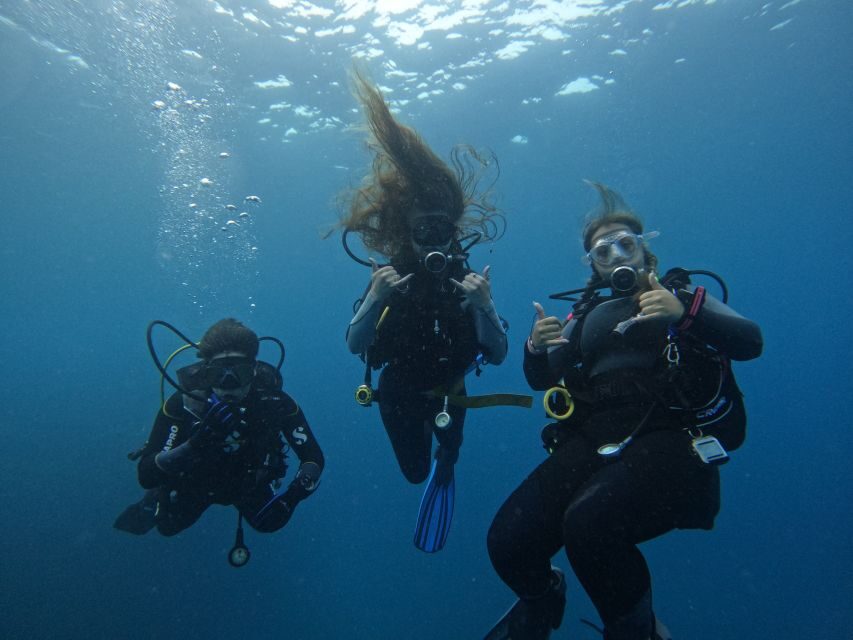 Tenerife: Puerto Colon Certified Scuba Dive by Speed Boat - Speed-boat coast ride: short on time, big on payoff