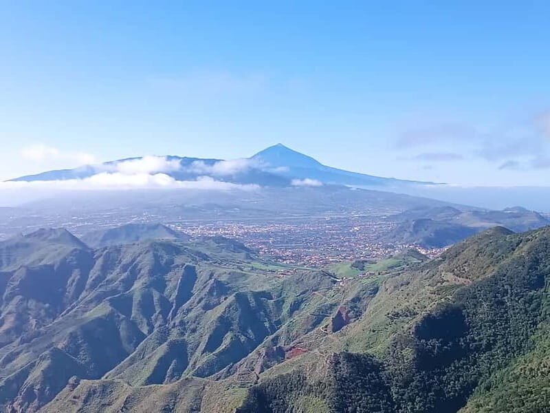 Tenerife-Puerto Cruz: Avatar Hiking, Punta Hidalgo +Cocktail - From Mamio Verde Adventures La Paz to San Cristóbal market flavors