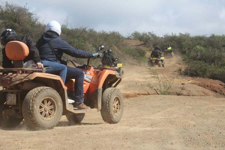 Tenerife: Quad Bike Off-Road Adventure - Quick take: what matters most