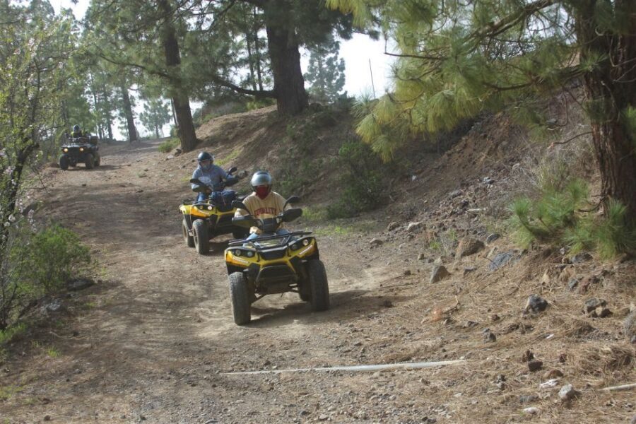 Tenerife: Quad Bike Off-Road Adventure - What to expect at the end: satisfaction, dust, and that post-ride grin