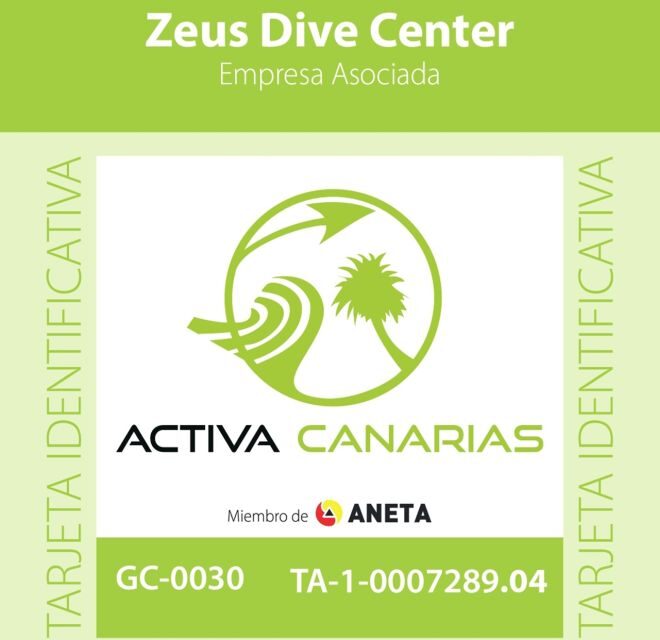 Tenerife Scuba Diving for Certified Divers - Key things worth knowing