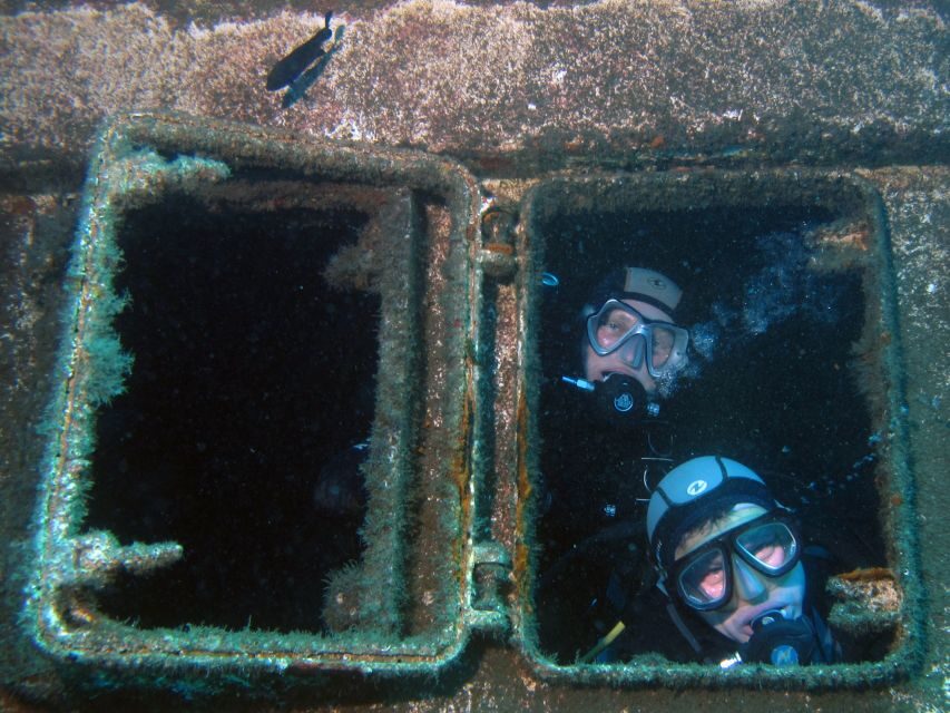 Tenerife Scuba Diving for Certified Divers - First underwater session at Abades: fish close, stress low