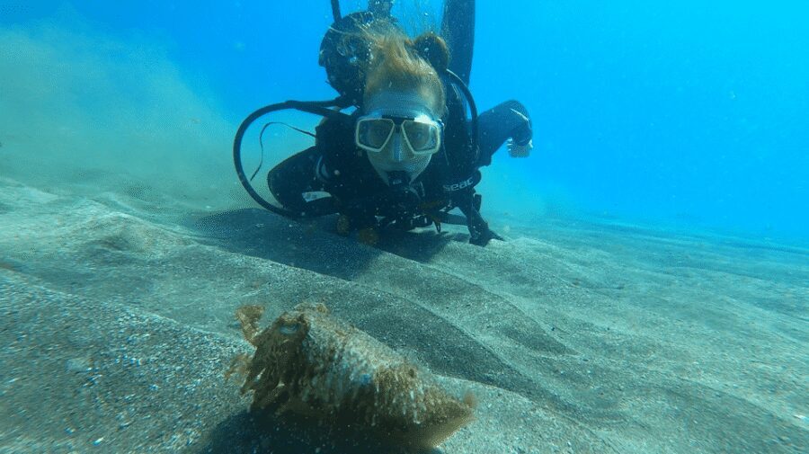 Tenerife: Scuba Diving Lesson and Abades Protected Area Dive - Key things to know before you go