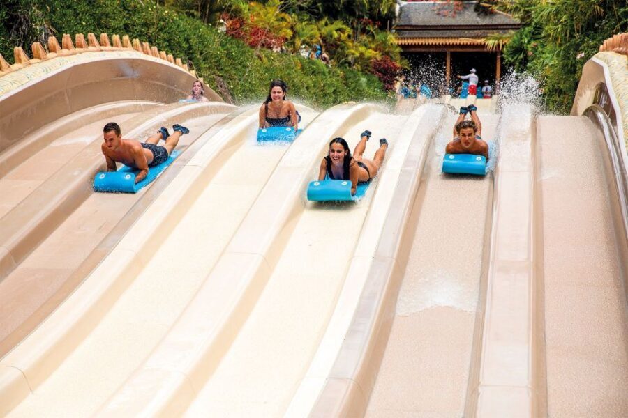 Tenerife: Siam Park All-Inclusive Entry Ticket - Key highlights that make this ticket worth it