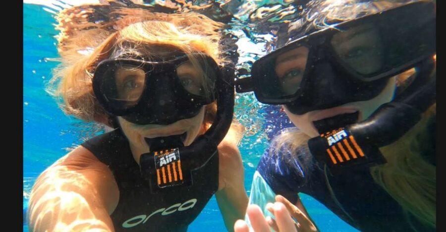 Tenerife: Snorkeling Tour in a Marine Protected Area - Key highlights you’ll actually care about