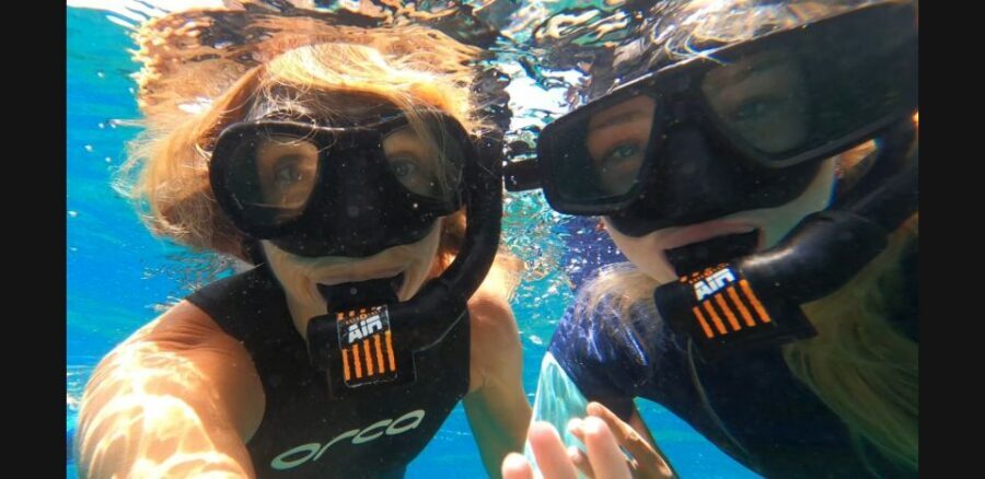 Tenerife: Snorkeling Tour in a Marine Protected Area - Snorkeling from Abades: calm bay, small group, no boat stress