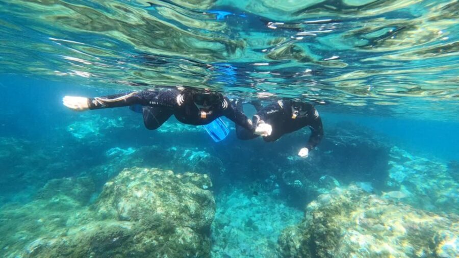 Tenerife: Snorkeling Tour in a Marine Protected Area - The 50-minute snorkeling plan: reef, coves, and sea grass