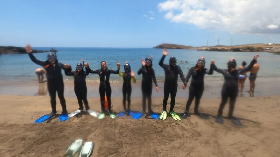 Tenerife: Snorkeling Tour in a Marine Protected Area - Spotting turtles and other sea life without messing up the ecosystem