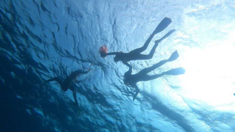 Tenerife: Snorkeling Tour in a Marine Protected Area - Rafaella and Ron’s guiding style: calm, organized, and patient