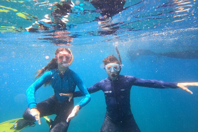 Tenerife Snorkeling Tour in turtle habitat - The boat-ride reality: bouncy water, small space, and safety cues