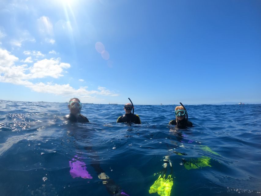 Tenerife: Snorkeling Trip in a Turtle Habitat - Gear, Warmth, and What to Bring Yourself