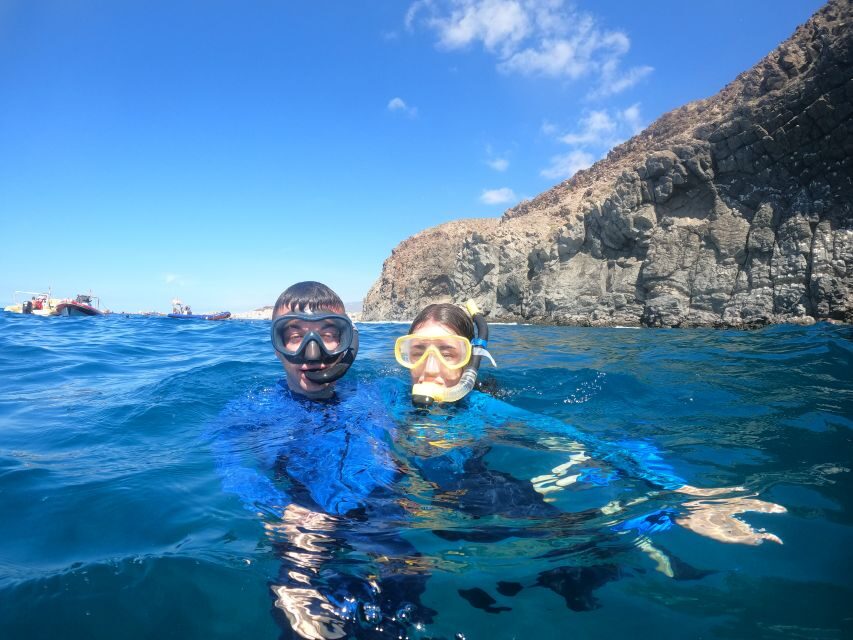 Tenerife: Snorkeling Trip in a Turtle Habitat - Wildlife Expectations: How to Think About Turtles, Rays, and Dolphins