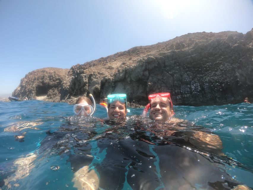 Tenerife: Snorkeling Trip in a Turtle Habitat - Price and Value: Is $41 Worth It?