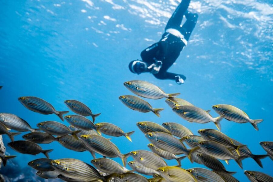 Tenerife : Snorkeling underwater with freediving Instructor - How a Radazul snorkeling session becomes a breathing skill