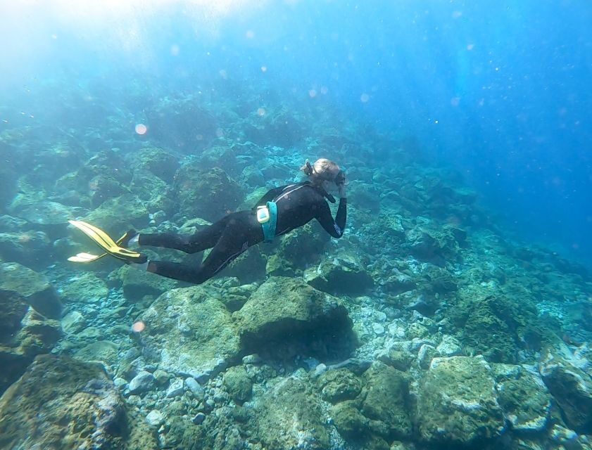 Tenerife : Snorkeling underwater with freediving Instructor - Gear and comfort: what you need, and what to plan for