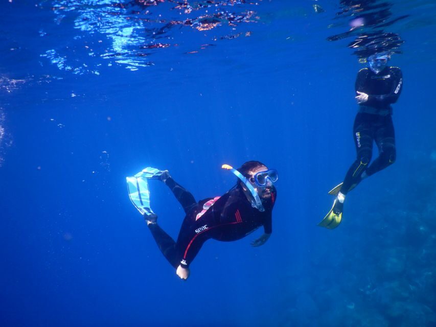 Tenerife : Snorkeling underwater with freediving Instructor - Should you book this snorkeling + freediving instructor session?
