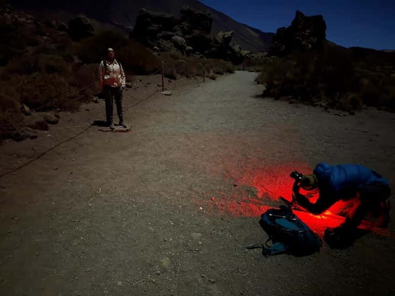 Tenerife: Stargazing Walk in Teide National Park - From Parador Cañadas del Teide to Roques de García: The 2-Hour Flow