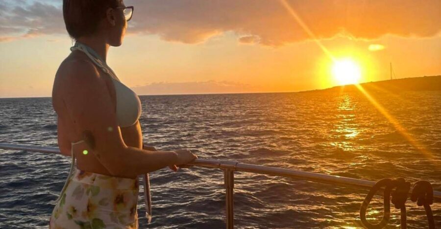 Tenerife: Sunset Catamaran Tour with Transfer, Buff & Drinks - A Tenerife sunset cruise that starts with wildlife, not waiting
