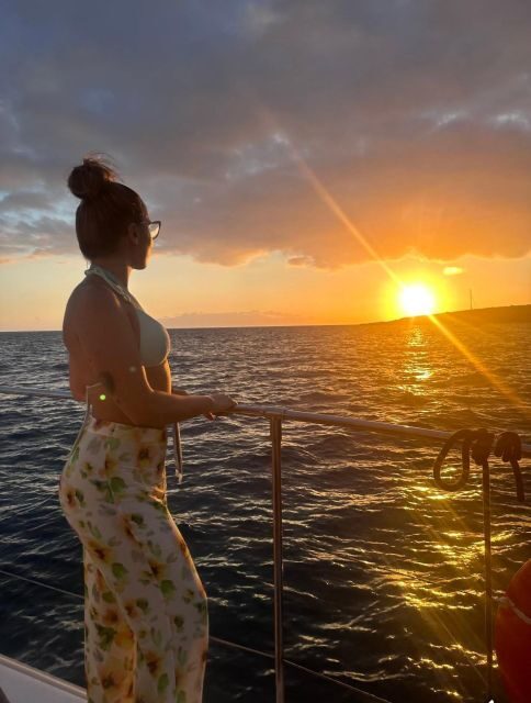 Tenerife: Sunset Catamaran Tour with Transfer, Buff & Drinks - How whale and dolphin spotting works on this cruise