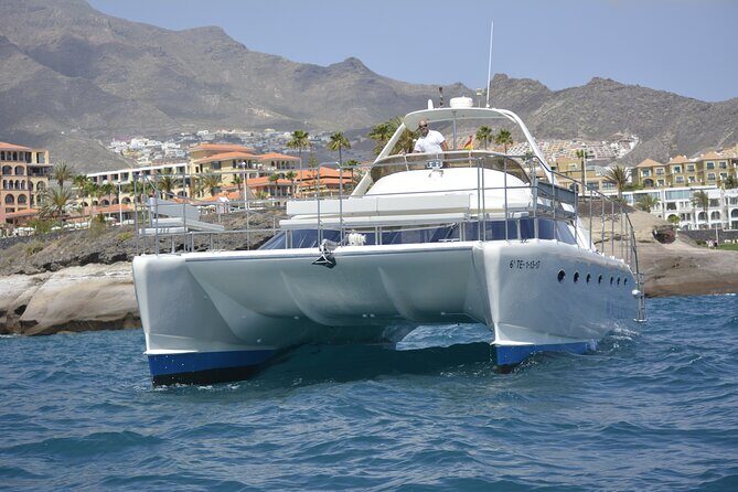 Tenerife Sunset Catamaran tour with transfer - Food and Drinks included. - Wildlife watching that actually feels like wildlife watching