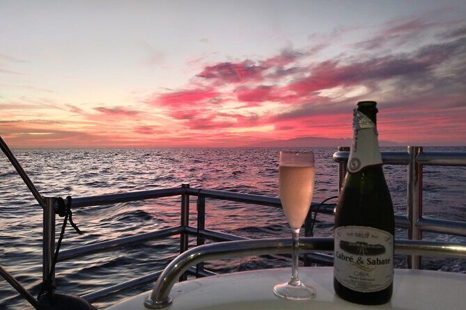 Tenerife Sunset Catamaran tour with transfer - Food and Drinks included. - Who will love this trip (and who might not)