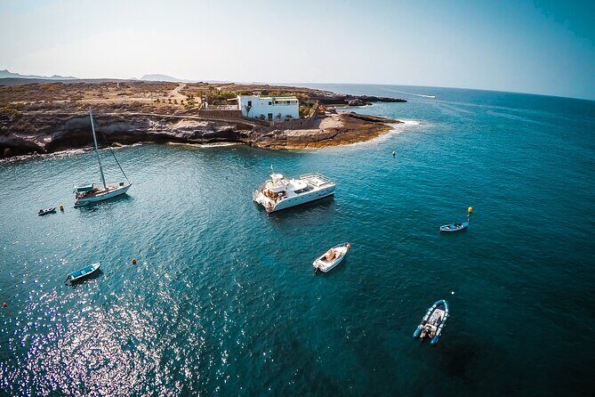 Tenerife Sunset Catamaran tour with transfer - Food and Drinks included. - Comfort on board Monte Cristo Catamaran: Wi‑Fi, AC, restroom, and space to breathe