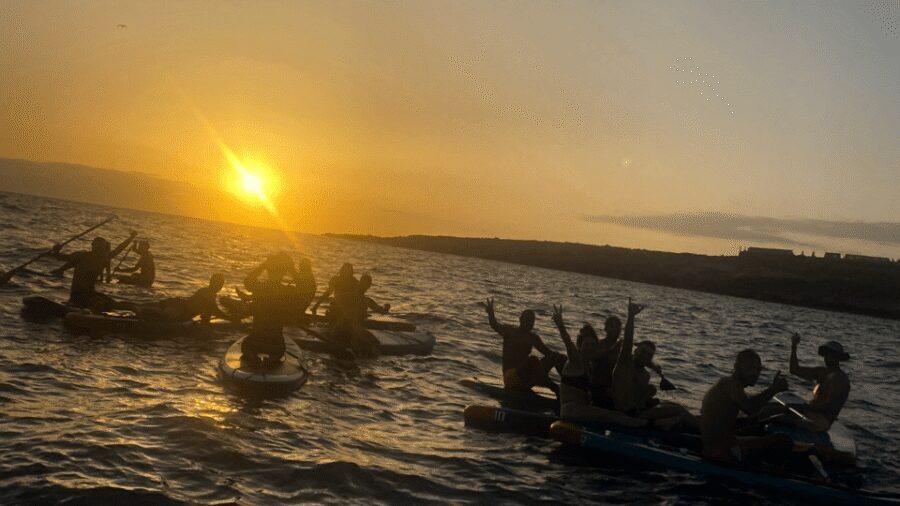 Tenerife: Sunset Stand-Up Paddleboarding Tour - Entering The Water: Meeting at Calle las Artes and Getting Ready