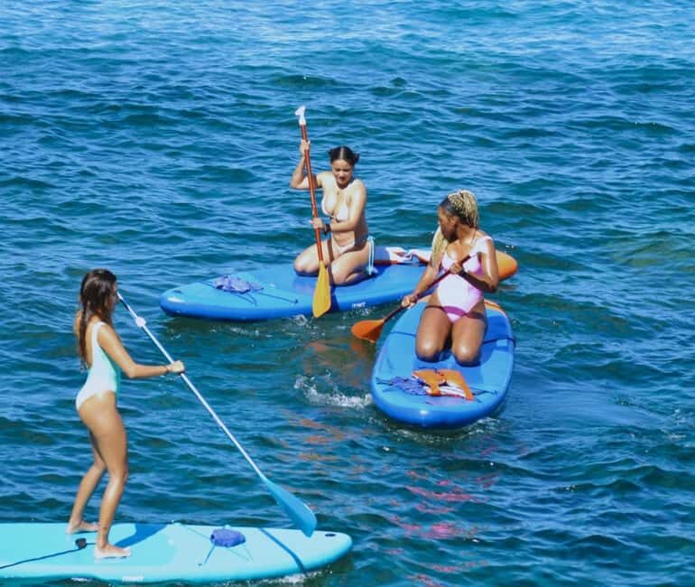 TENERIFE SUR: Paddleboarding tour and SNORKEL - Key things to know before you go