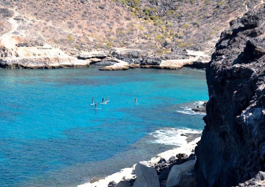 TENERIFE SUR: Paddleboarding tour and SNORKEL - Instructor energy and teaching style: why your experience depends on the first 30 minutes
