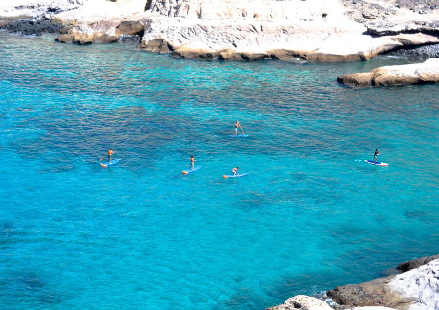 TENERIFE SUR: Paddleboarding tour and SNORKEL - Getting there: easy access without pickup service