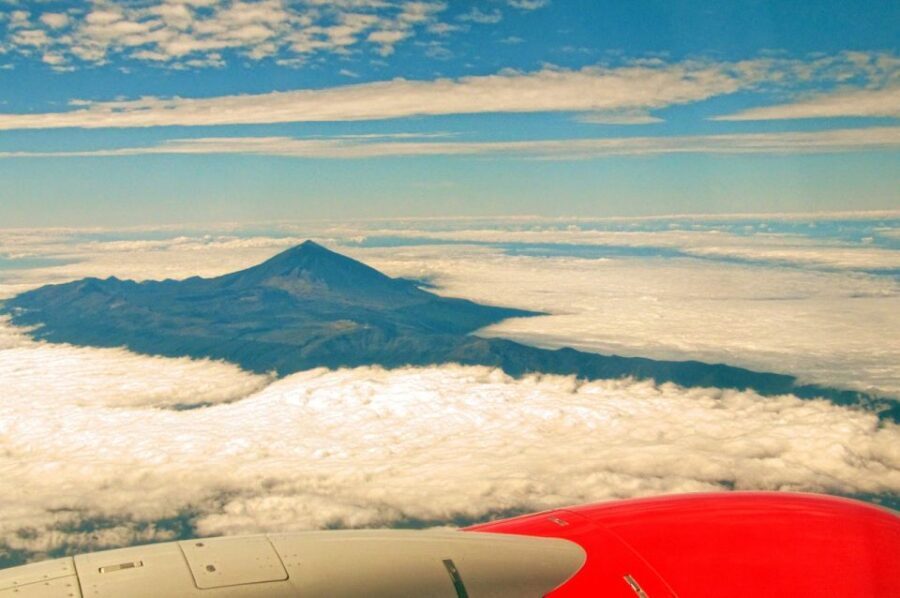 Tenerife: Teide and Las Cañadas Half-Day Tour - Pine Forests in Teide National Park: Where the Scenery Softens