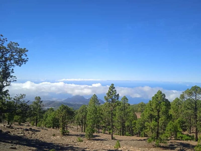 Tenerife: Teide, Icod de los Vinos & Garachico Full Day Tour - Stop 3: Garachico’s Natural Pools, Plus a Lunch Break