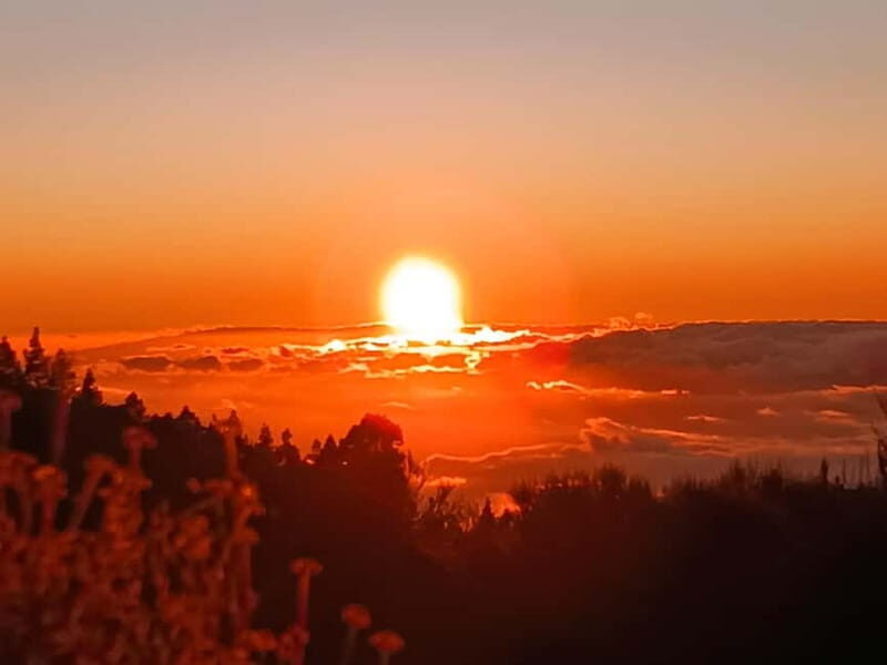 Tenerife: Teide, Masca, Garachico, and Sunset Exclusive Tour - Masca: Buena Vista hike toward 2000 meters and terraces that feel like Peru