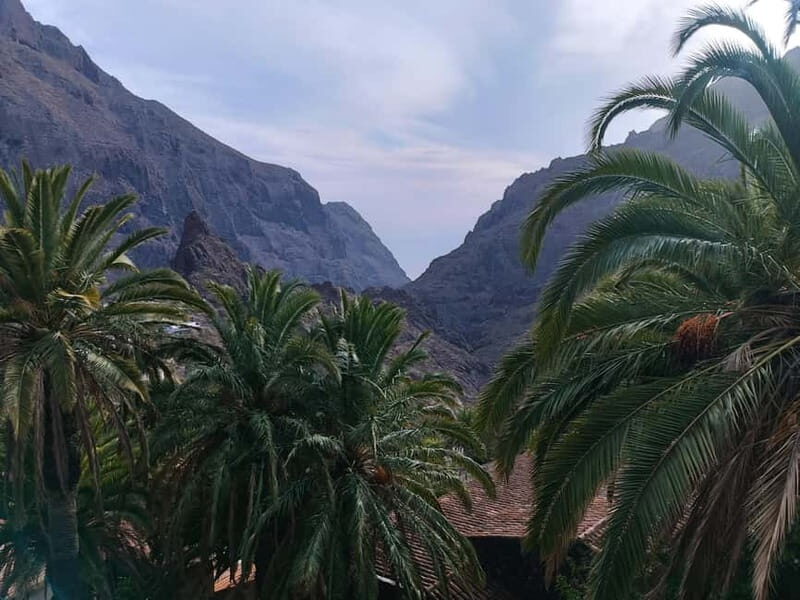 Tenerife: Teide, Masca, Garachico, and Sunset Exclusive Tour - The pacing: long day, but it doesn’t feel rushed